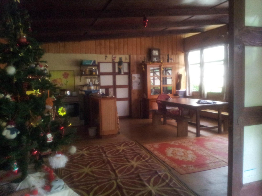 Moorea Maori Tours-哈皮迪必去景点