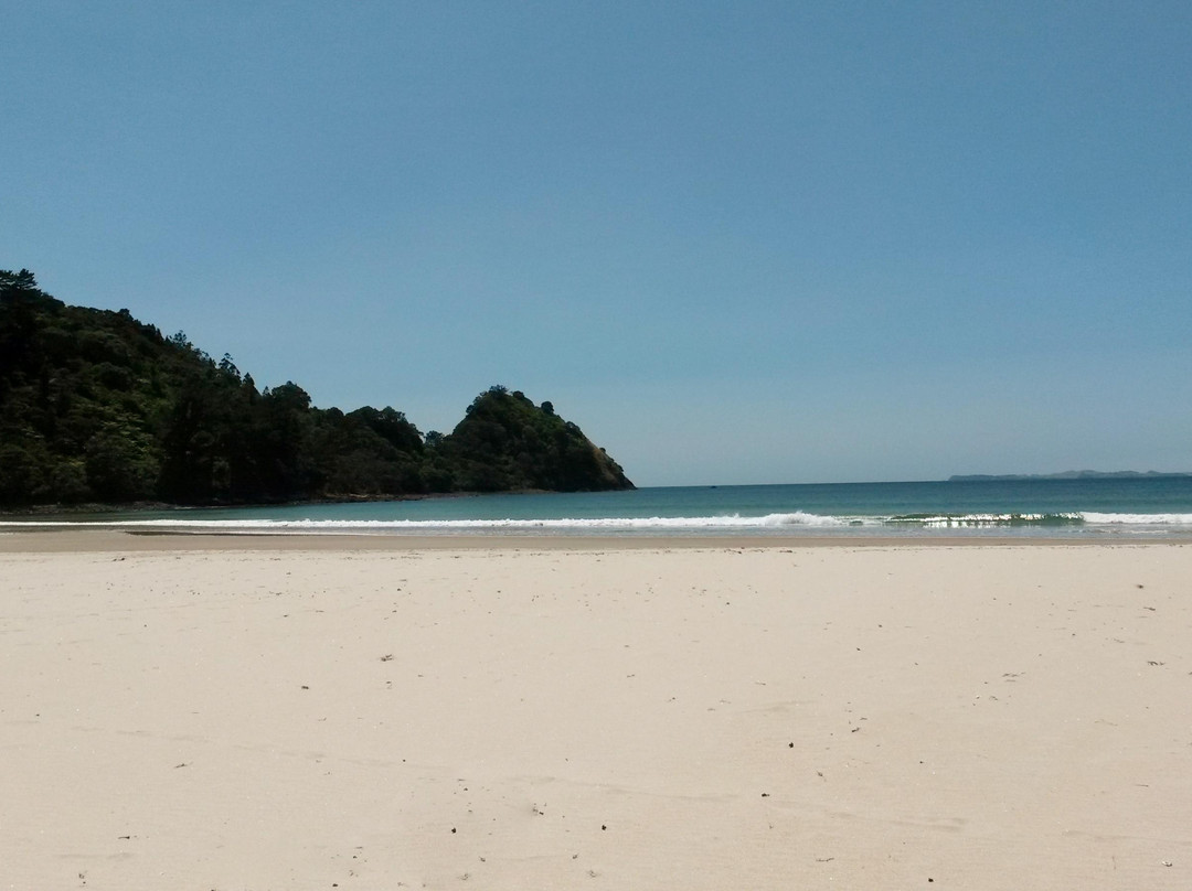 Whangapoua Beach景点图片