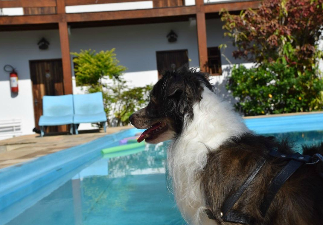 Vargas Peruibe Hotel主图