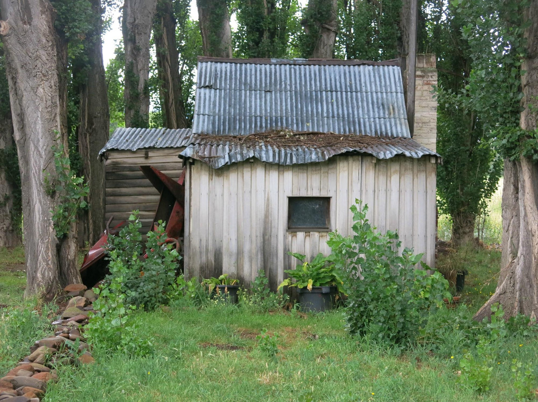 Bespoke Tasmania-霍巴特必去景点