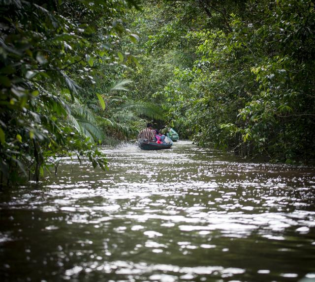 Wow Borneo-帕朗卡拉亚必去景点