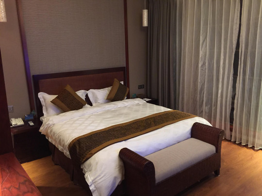 中翔雷迪森温泉酒店主图