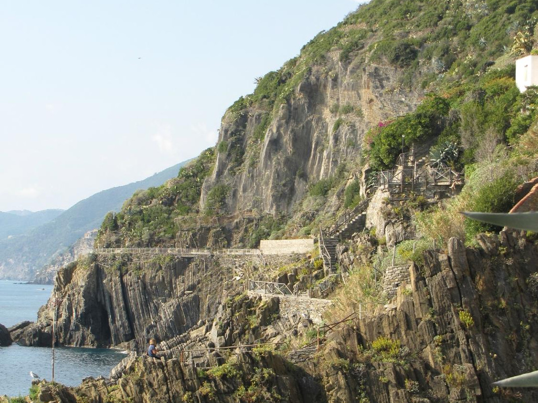 Cinque Terre Private Tours景点图片