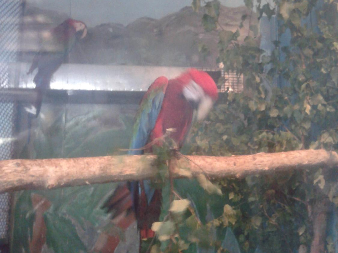 Chita City Zoo-赤塔必去景点