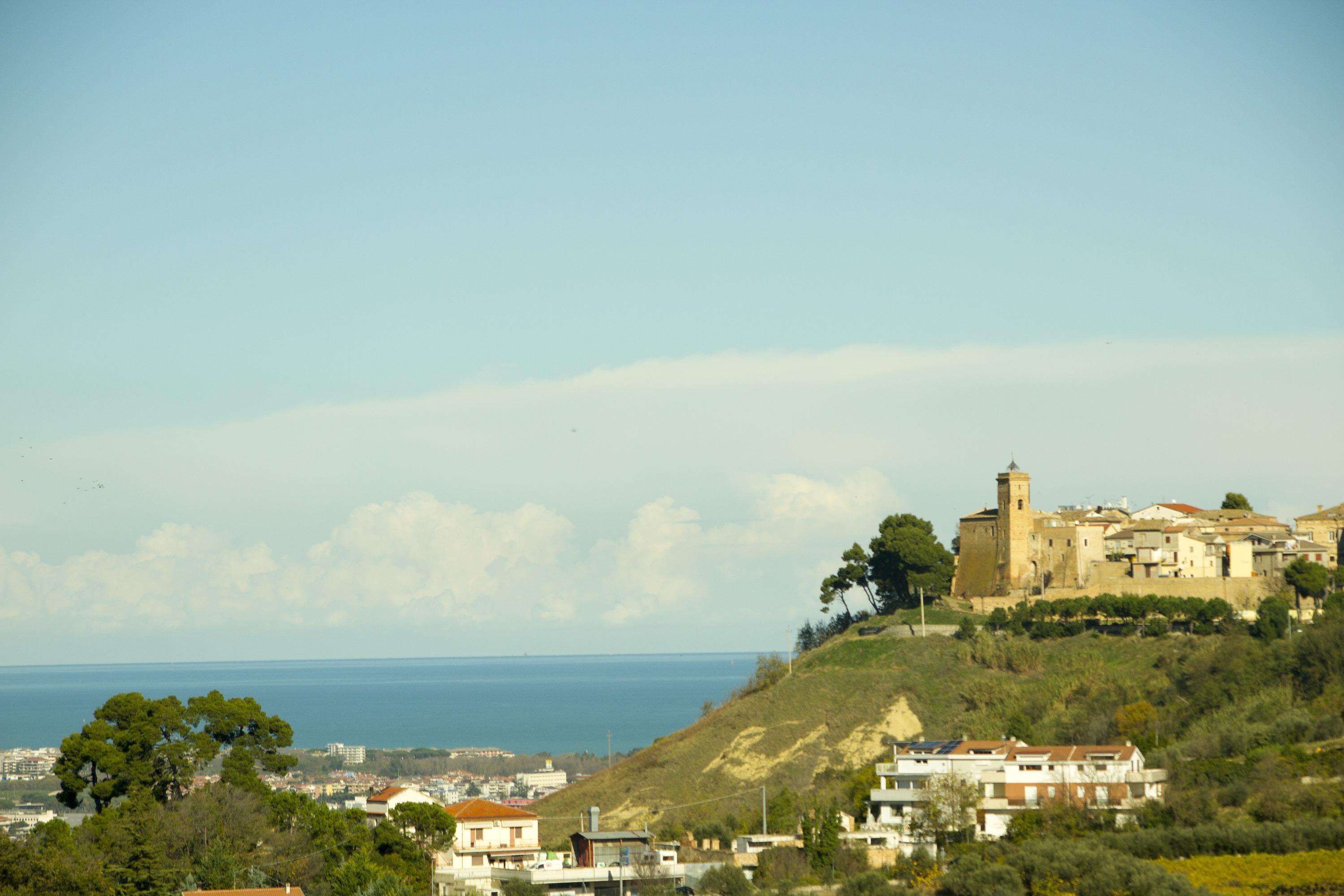 Buena Vista Bed and Breakfast-官方