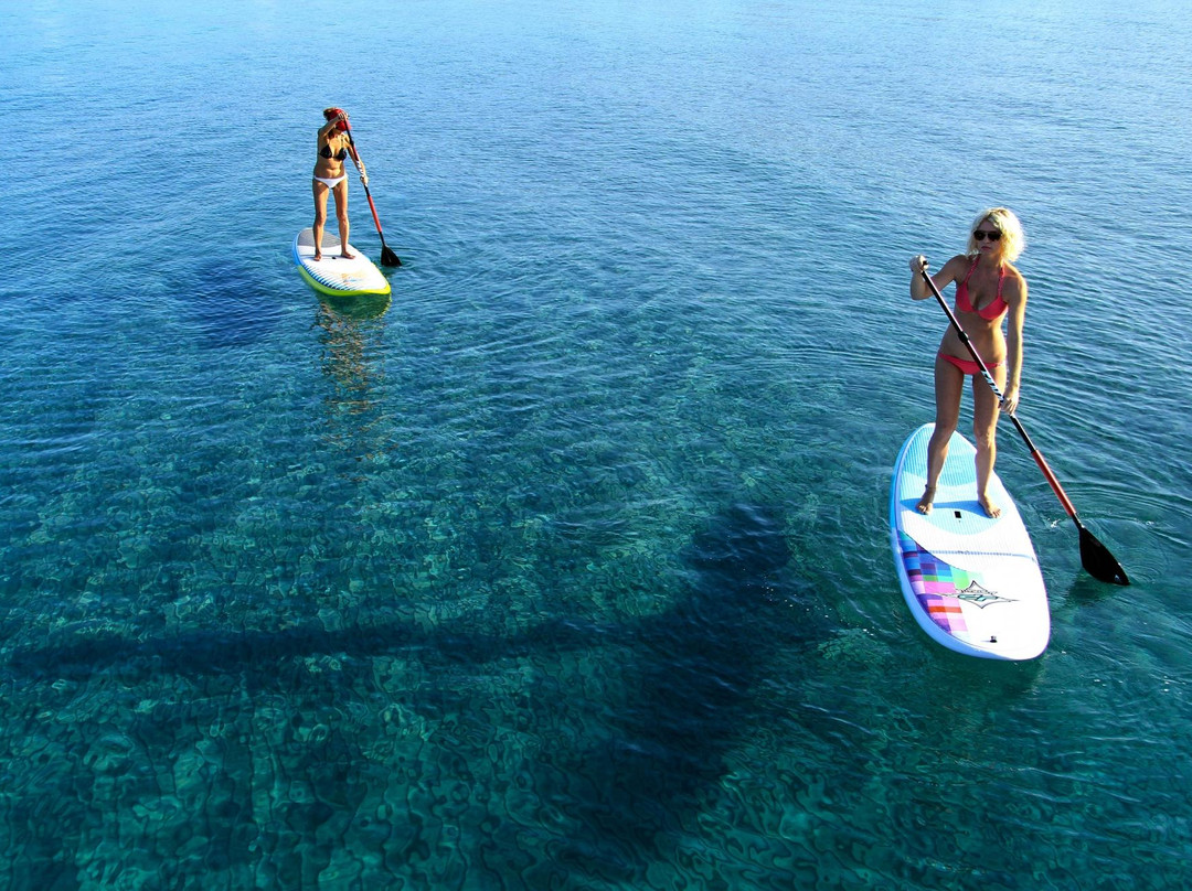 Stand Up Paddle Surf Zante-阿雷克斯必去景点