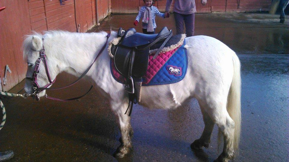 Burley Manor Riding Stables景点图片