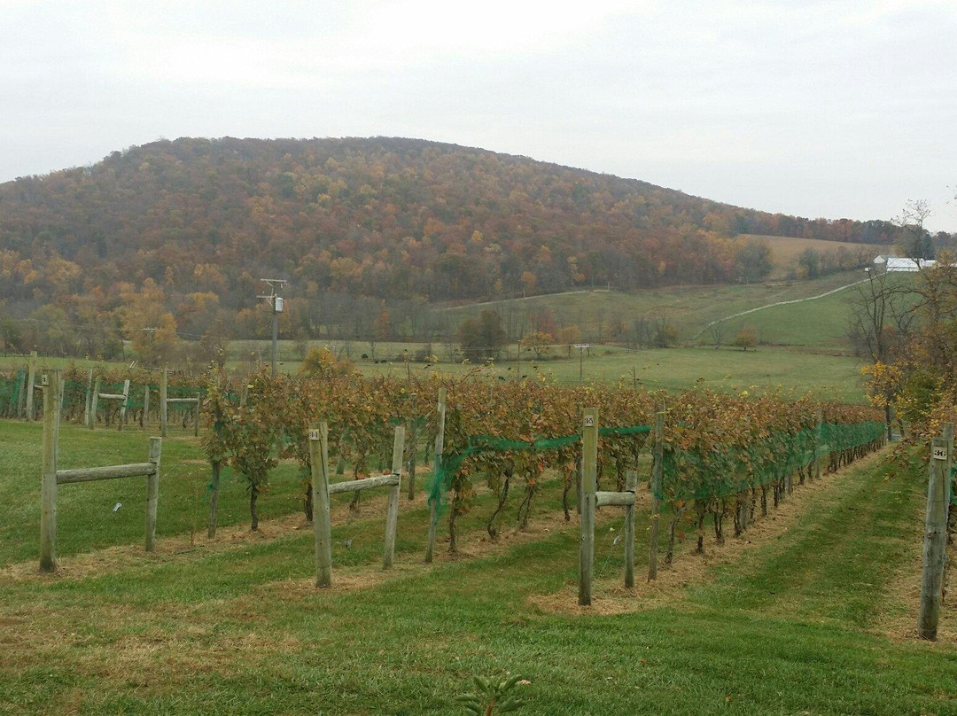 Hillsborough Vineyards-Purcellville必去景点
