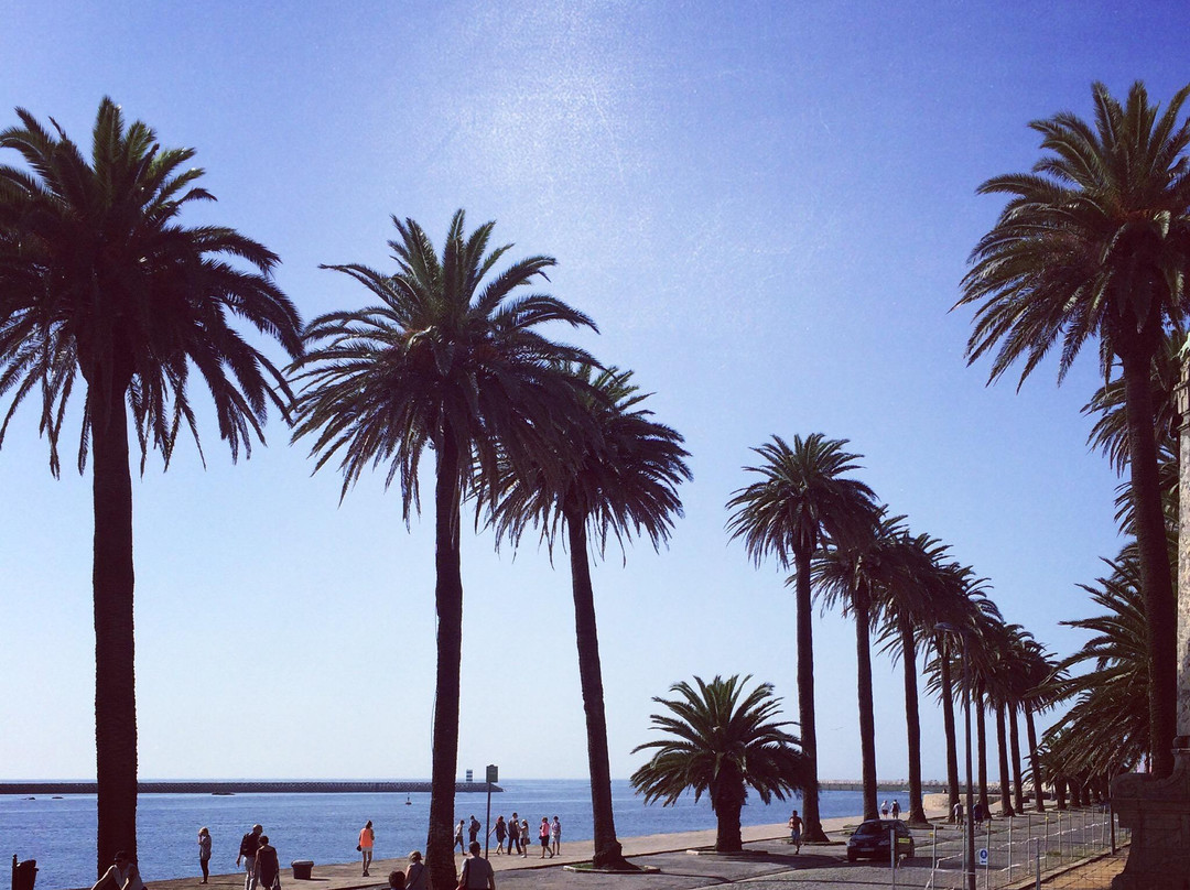 Praia da Luz-波尔图必去景点