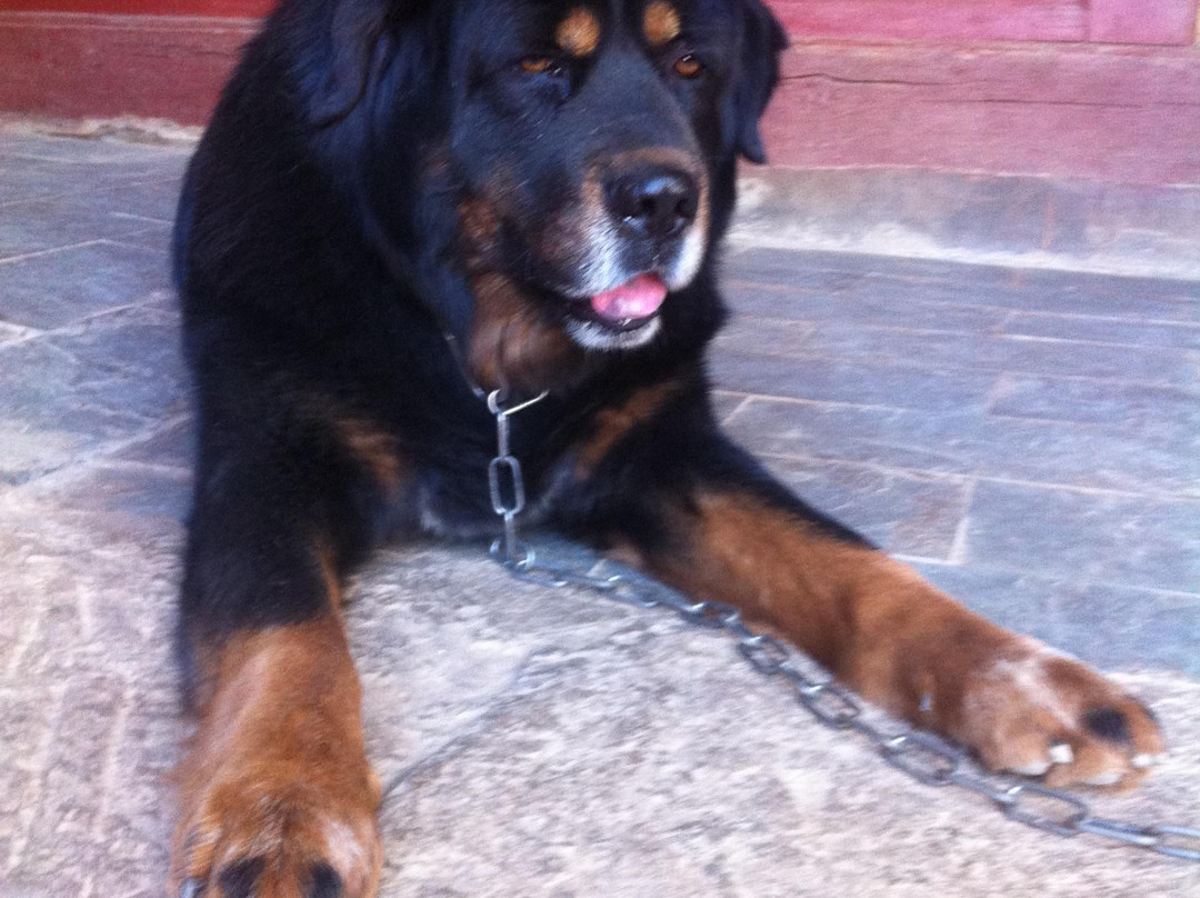 沙溪马圈46国际青年旅舍主图