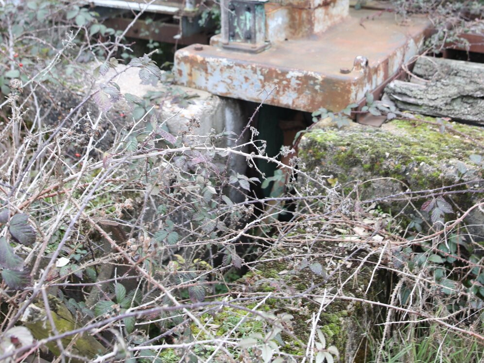 Scie À Grumes De Chez Guilliet Et Fils