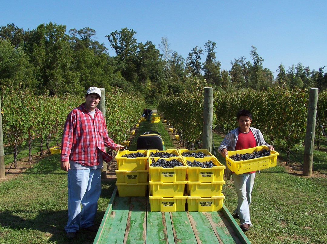 Vault Field Vineyards-Kinsale必去景点