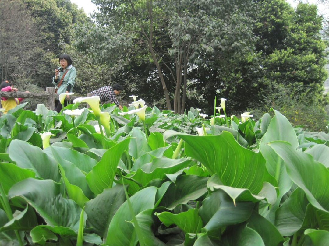 西安植物园-西安市必去景点