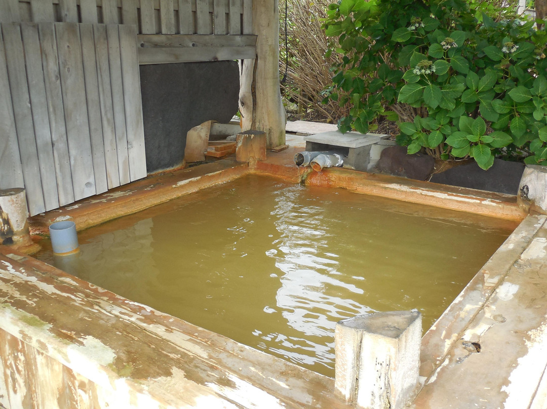 Michinoku Onsen Ryokan主图
