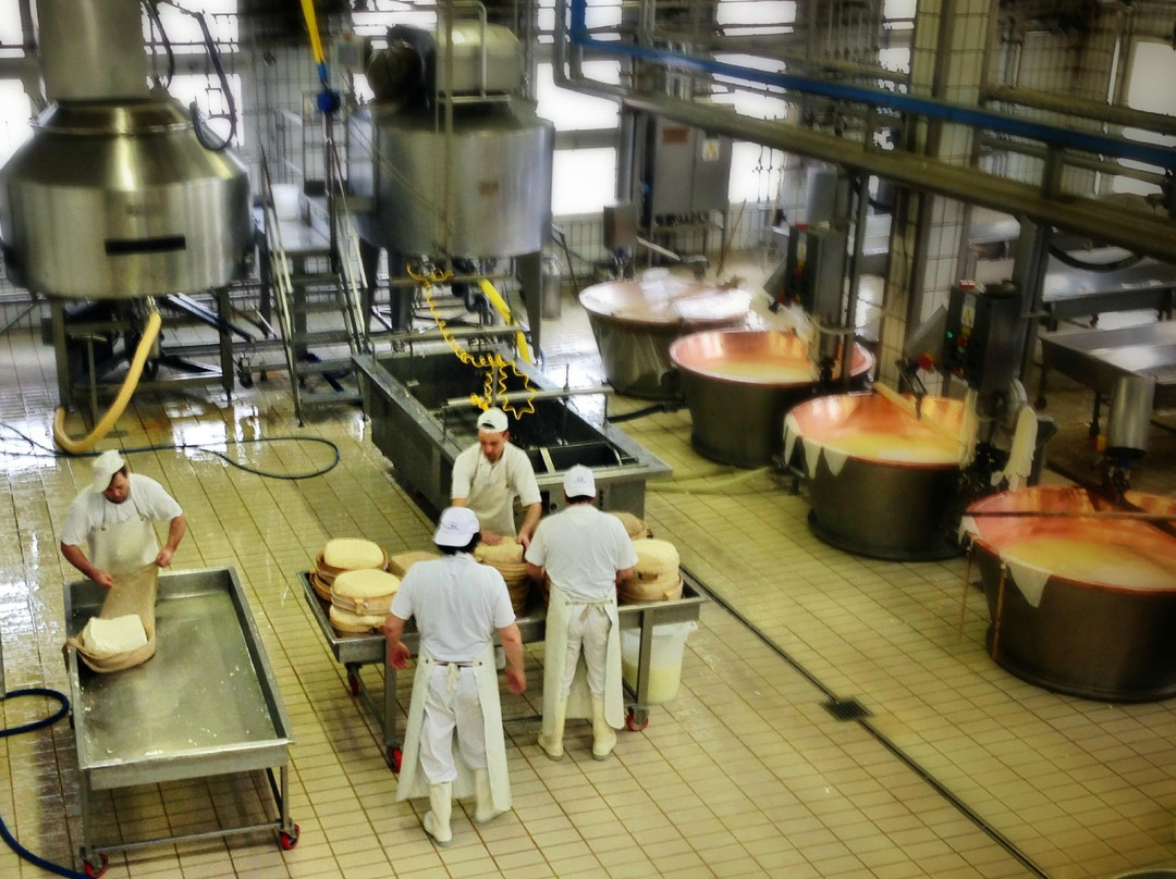 Caseificio Sociale Predazzo e Moena-普雷达佐必去景点