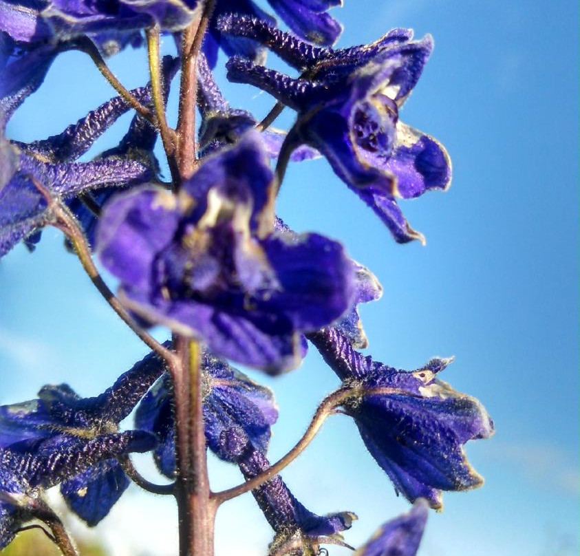 Eveline State Recreation Area-Fritz Creek必去景点