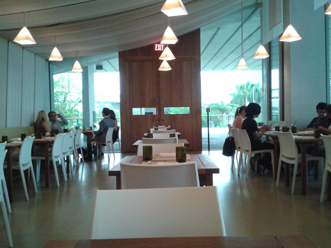 迈阿密佩雷兹美术馆-迈阿密必去景点