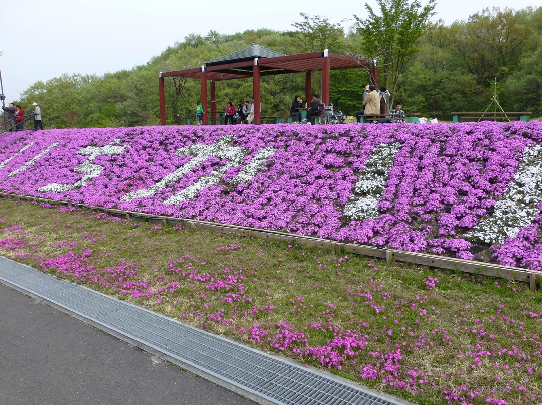 Shibazakura Matsuri-市贝町必去景点