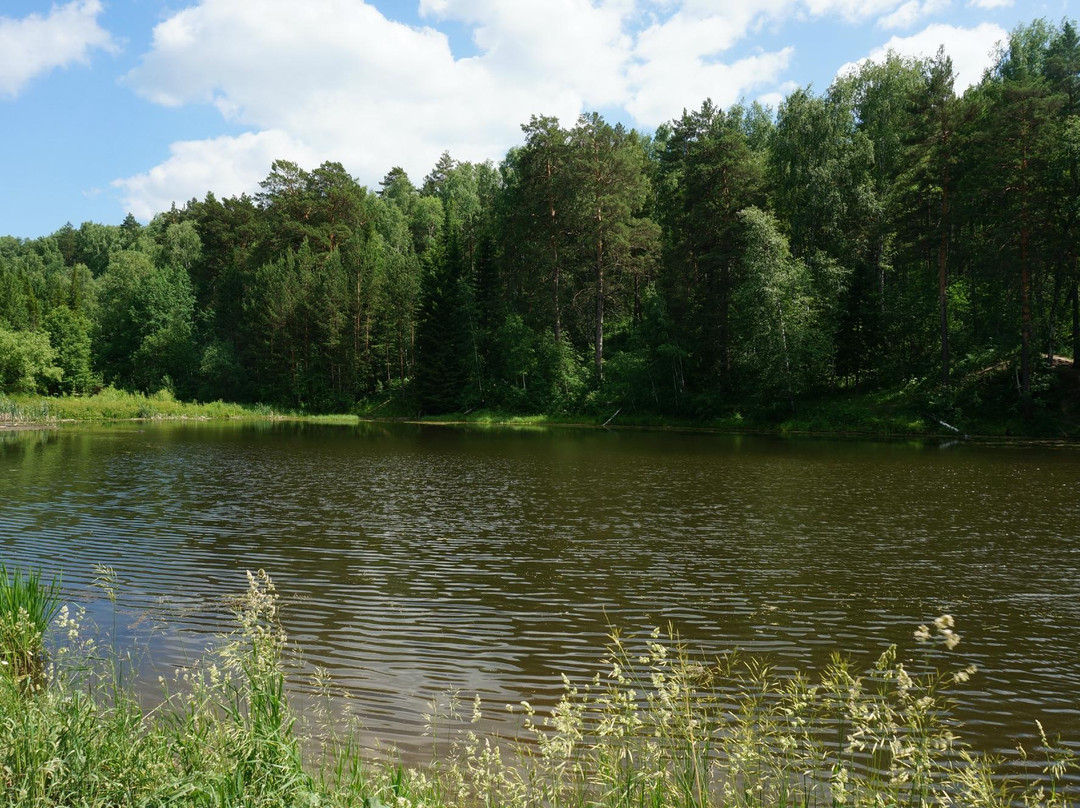 Central Siberian Botanical Garden景点图片