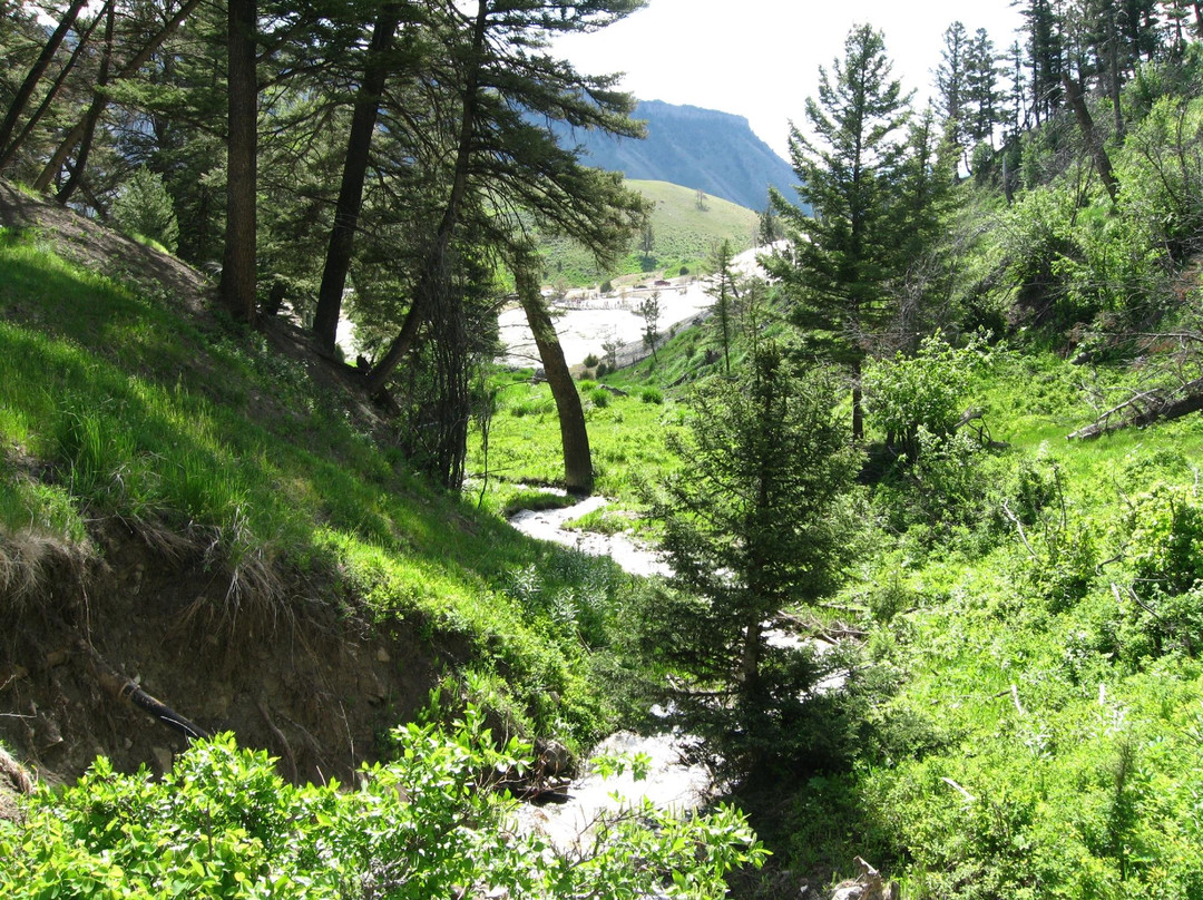 Beaver Ponds Loop Trail景点图片