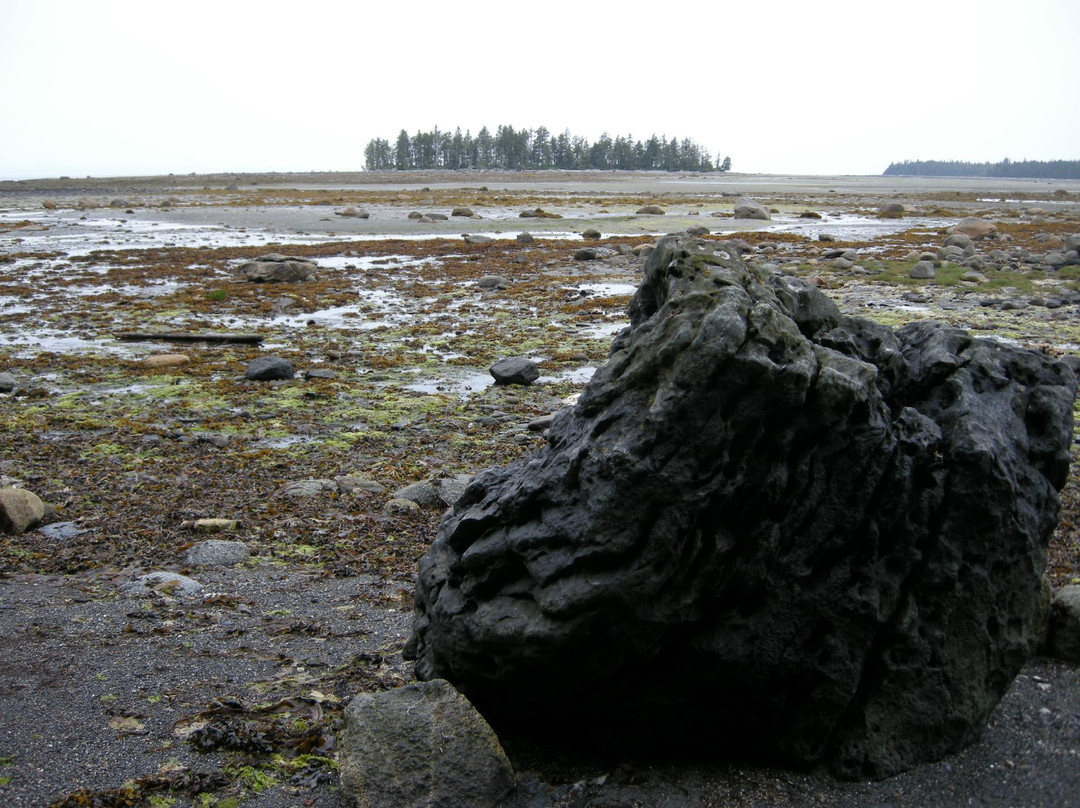 Metlakatla Wilderness Trail景点图片