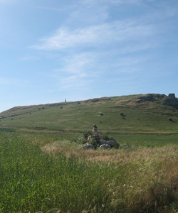 Sitio Historico de Los Arapiles景点门票图片