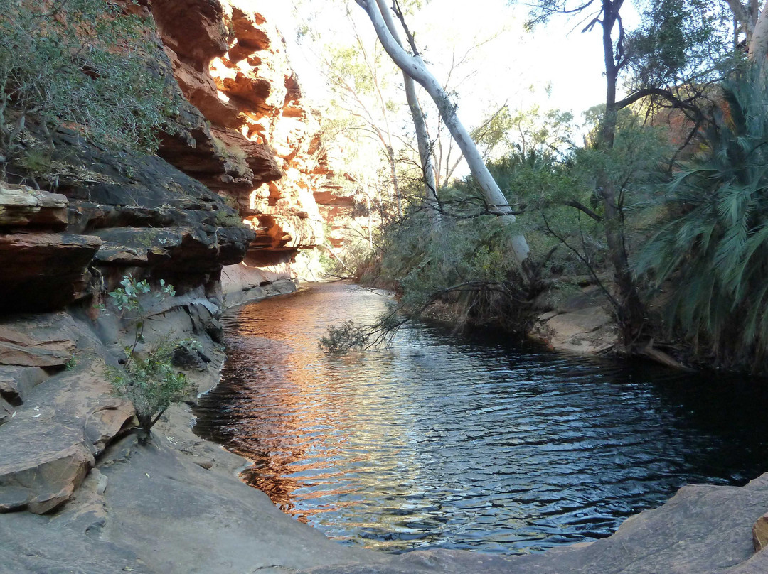 Kings Canyon景点图片