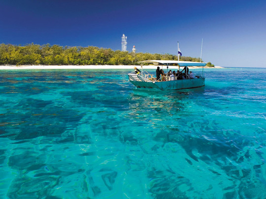 Lady Elliot Island Day Tour-埃里奥特夫人岛必去景点