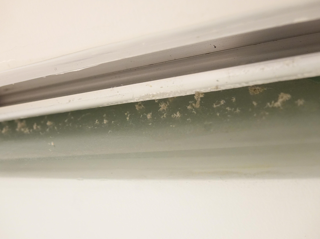 华京木棉花酒店主图