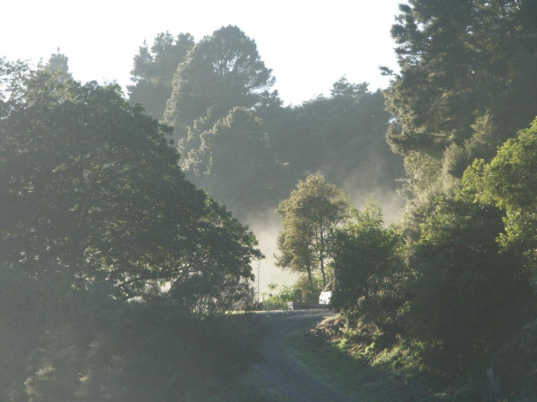 Whangārei Quarry Gardens景点图片