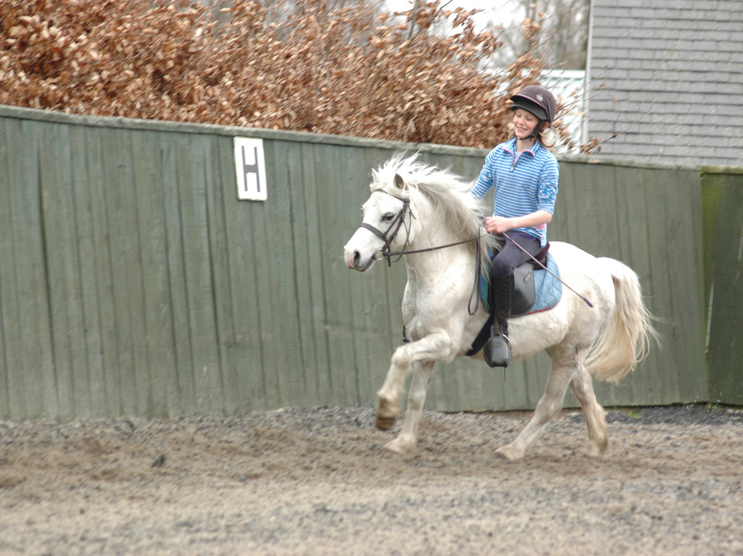 Crieff Hydro Riding Centre-Crieff必去景点