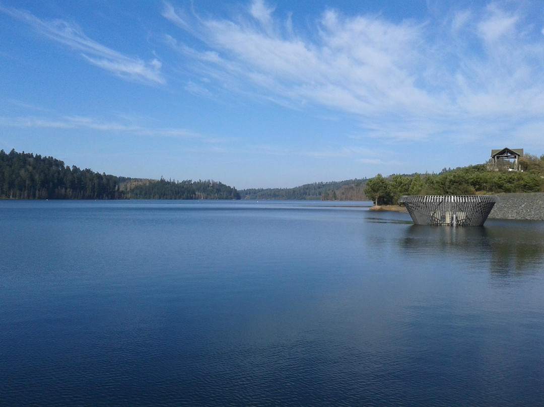 Lac de Pierre-Percée景点图片