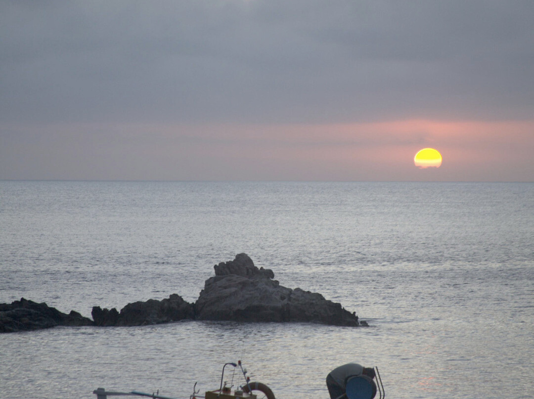 Brama Catamarans Sailing Cruises景点图片