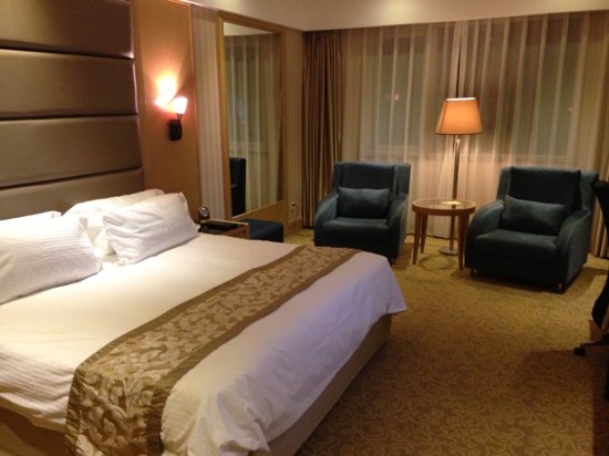 鄂尔多斯艾力酒店-客卧