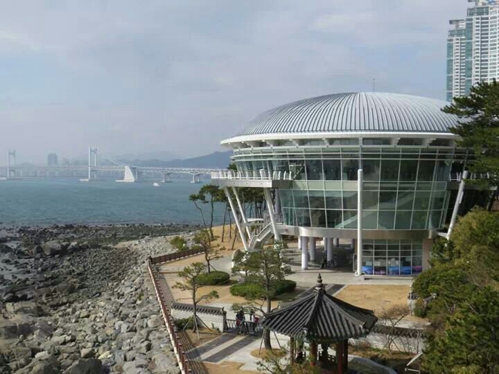 APEC Naru Park-釜山必去景点