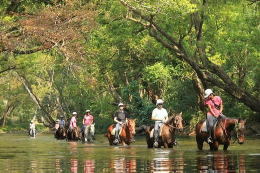 Mount-N-Ride Adventures-凯恩斯必去景点
