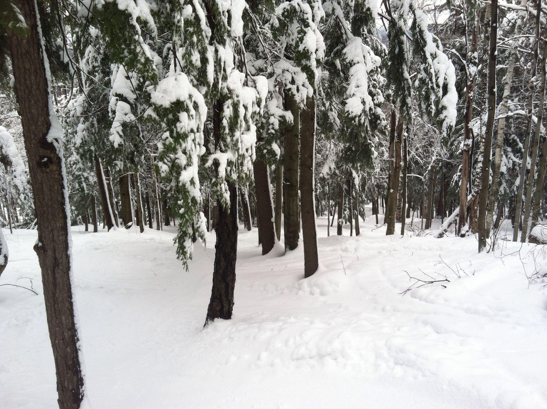 Crotched Mountain Ski and Ride景点图片