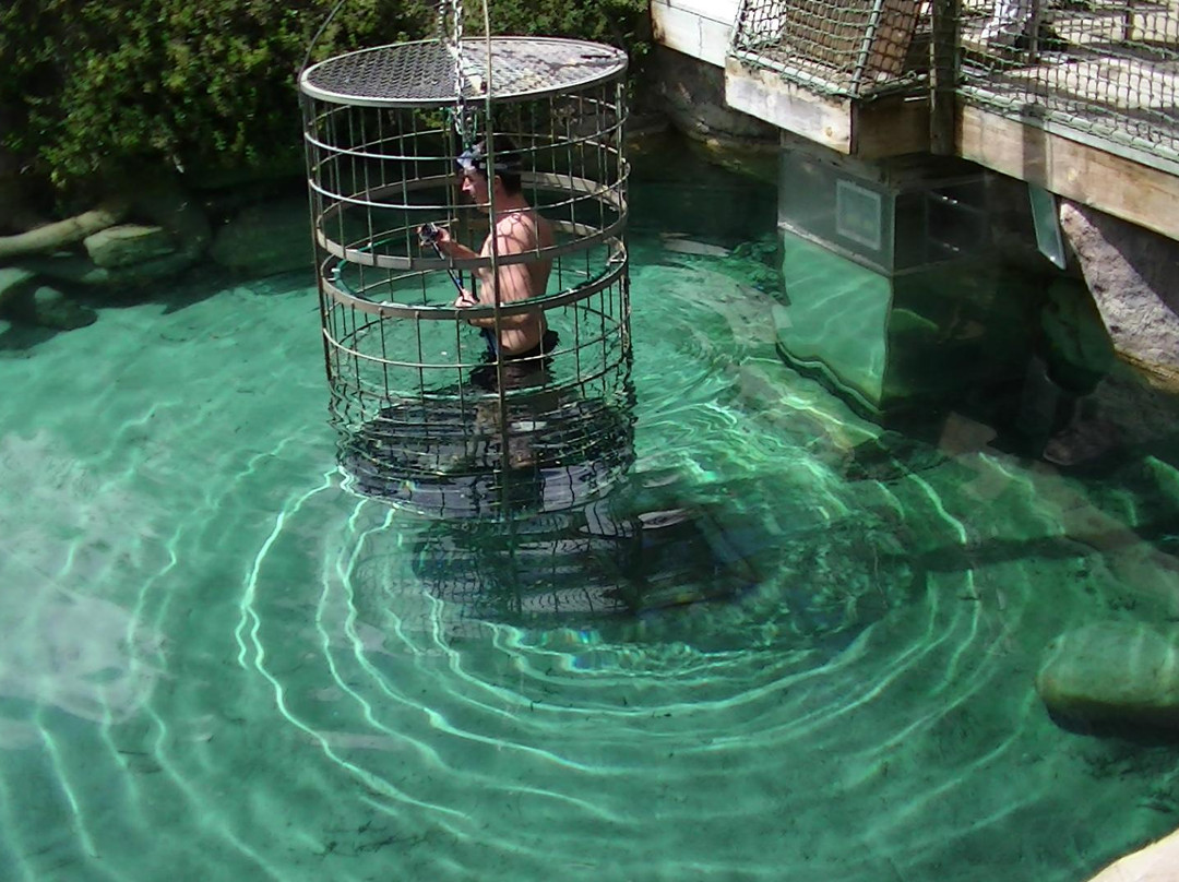 Cango Wildlife Ranch-奥兹洪必去景点