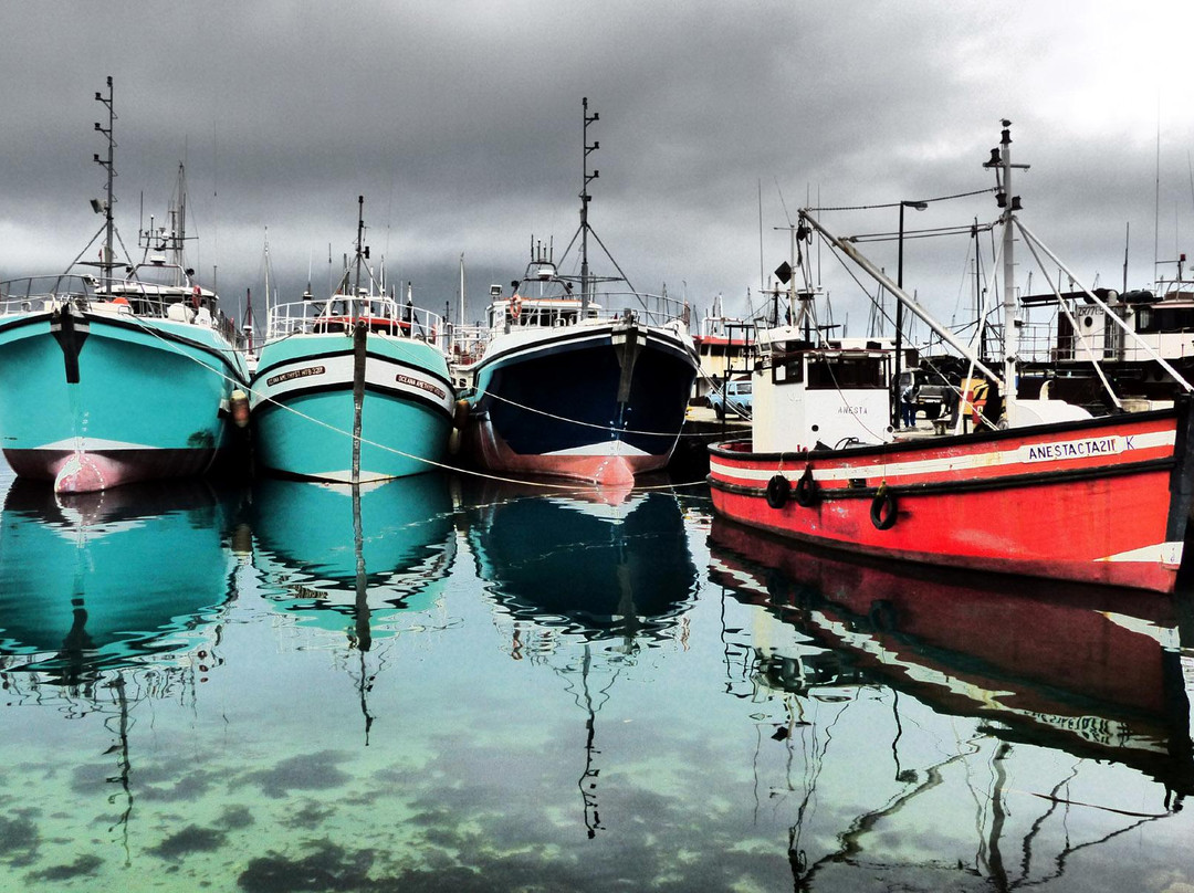 Cape Photographic Company-开普敦中心区必去景点