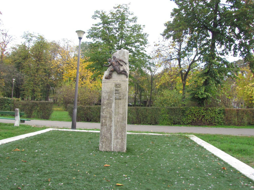 Ion C. Brătianu Park景点图片
