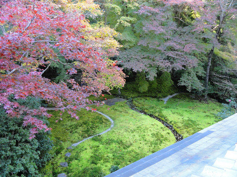 瑠璃光院-京都市必去景点