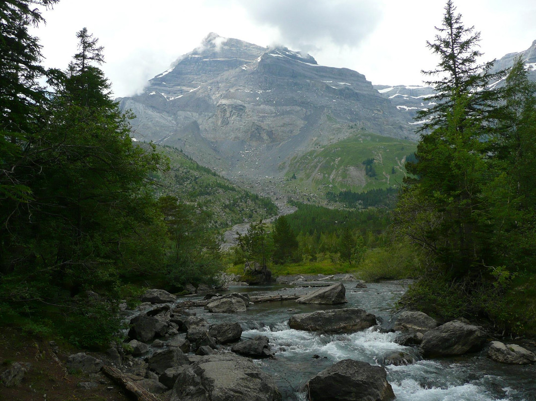 Lac de Derborence景点图片