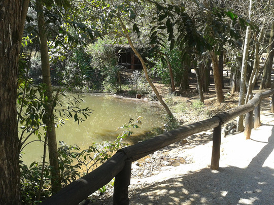 Parque Chico Mendes-Osasco必去景点