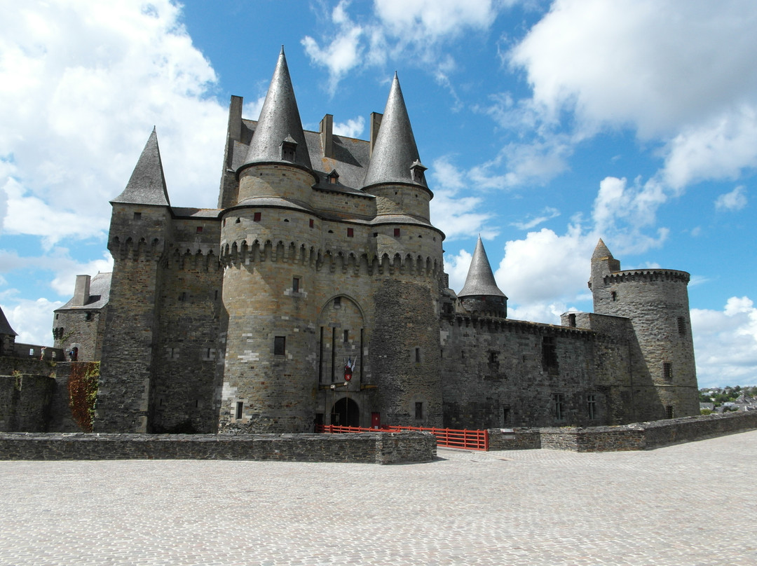 Chateau de Vitre景点图片