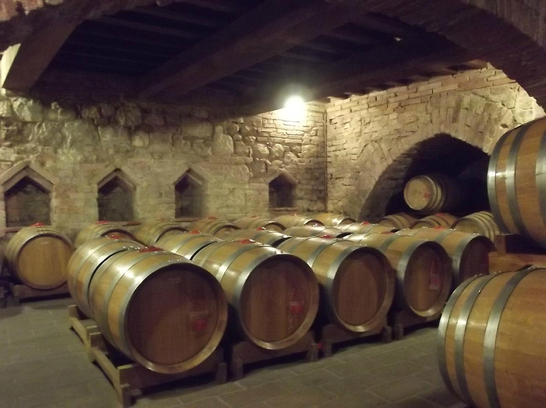 Azienda Agricola Ercolani-蒙特普尔恰诺必去景点