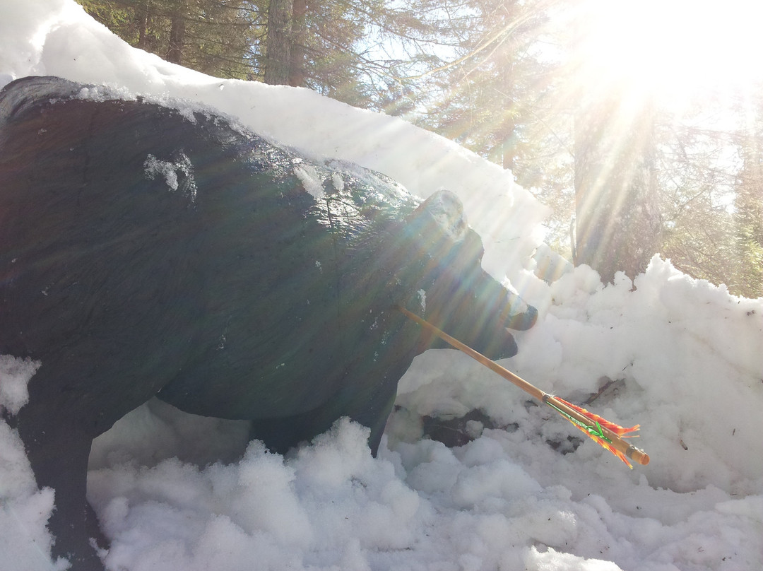 Bogenschiessen Oberweissbach-瓦埃德令必去景点