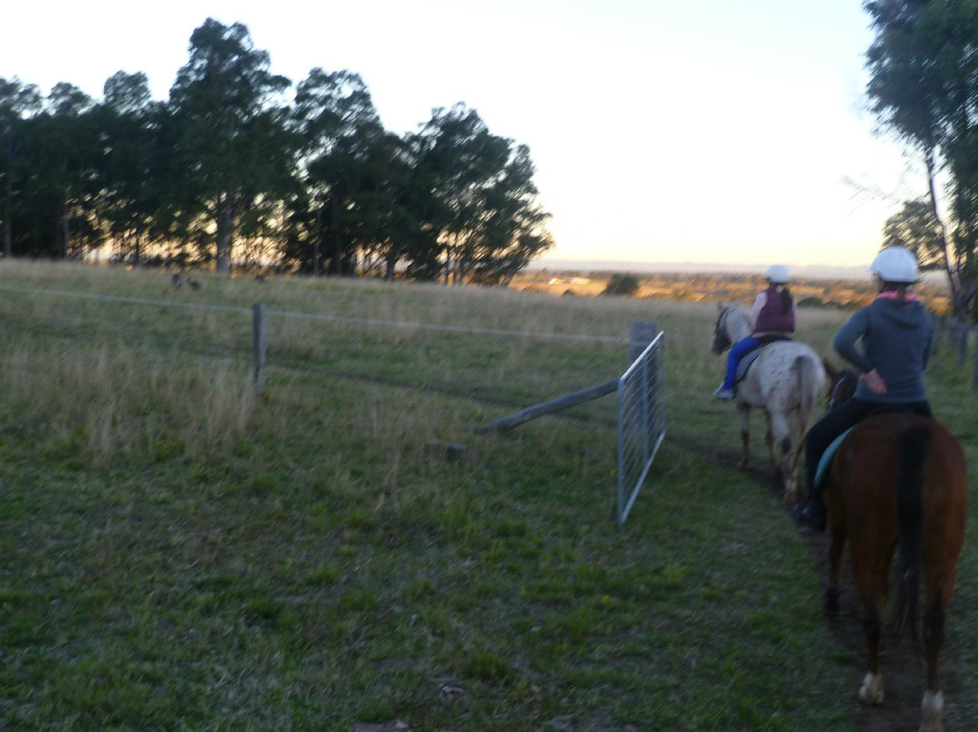 Hunter Valley Horseriding and Adventures景点图片