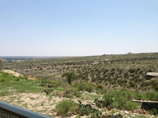 Living Desert Zoo and Gardens State Park景点图片