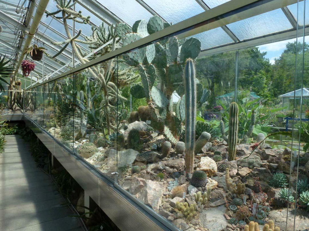 Botanischer Garten景点图片