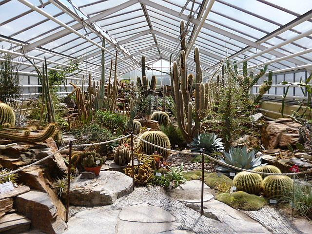 植物公园景点图片